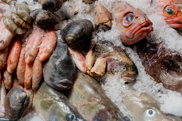 Seafood Sea Fish Stall Close — стоковое фото