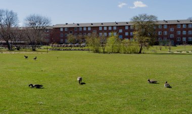 - Ev. Kopenhag şehrindeki konut binaları. Danimarka.