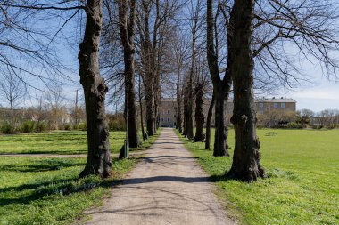 Ağaçlar. Yapraksız ağaçlar. Genel plan.