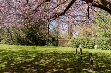 Mezarlıkta. Parktaki eski mezarlık. Kopenhag 'da. Danimarka.
