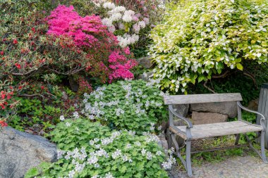 Botanical park. Bench in the park. Overall plan.