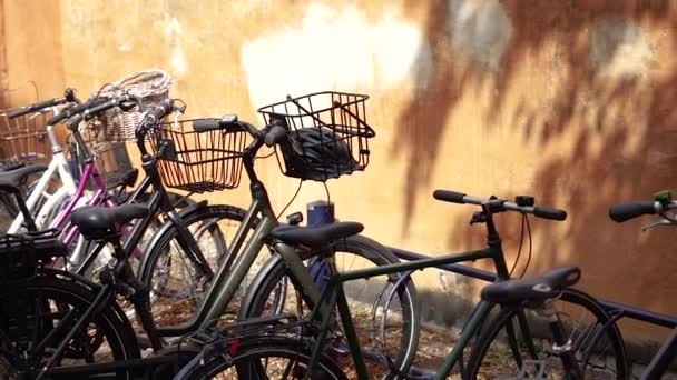 Estacionamento Bicicleta Bicicletas Estão Estacionadas Rack Bicicletas — Vídeo de Stock