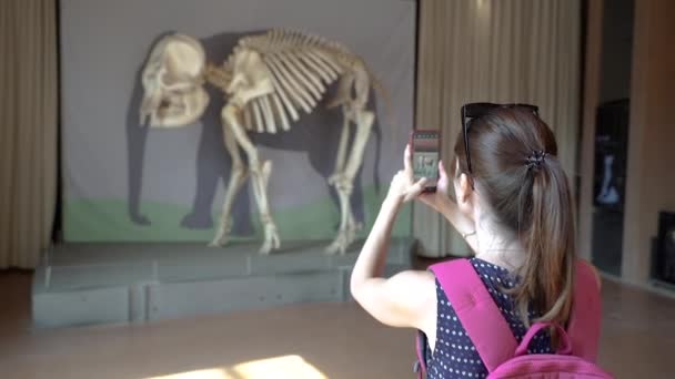 Skeleton Elephant Skeleton Full Growth — Stok video