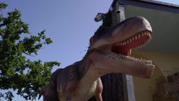 恐竜だ 動物園の巨大な恐竜 — ストック動画