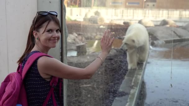 Polar Bear Woman Looks Polar Bear Zoo — Vídeo de stock