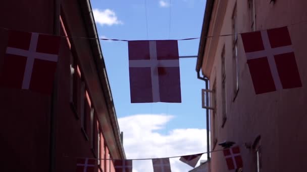 Flagga Danmarks Flagga Gamla Gatan — Stockvideo