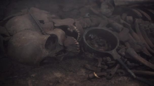 Skeleton Human Skeleton Lies Museums History Denmark — Stock Video