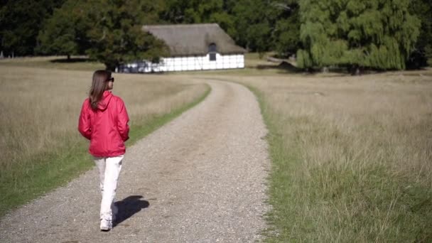 Reise Ein Tourist Reist Durch Das Land Dänemark — Stockvideo