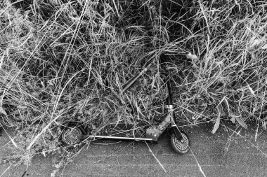 Scooter. The stunt scooter lies on the asphalt.