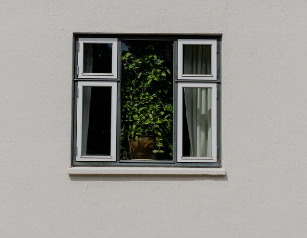 Window Window Apartment Close — Stock Fotó © liukov #620541296