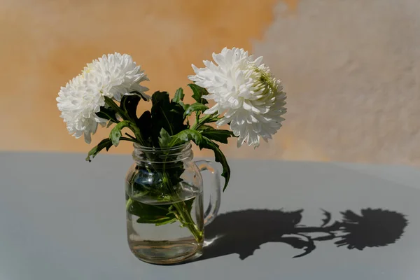 Натюрморт Цветочный Горшок Белым Цветком Столе — стоковое фото