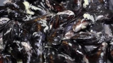 Midyeler. Kremalı sosta midye pişirmek..