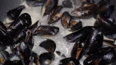 Midyeler. Kremalı sosta midye pişirmek..