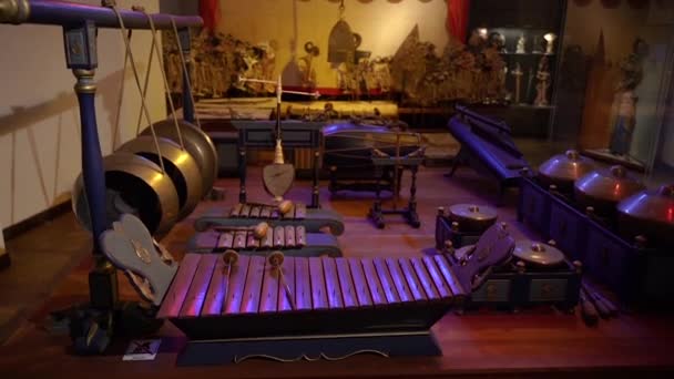 ミュージカル楽器 ドラムス ドラムの異なる種類 — ストック動画
