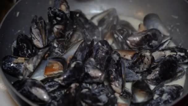 Kagylók Főzőkagyló Krémes Szószban — Stock videók