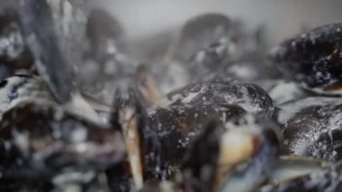 Midyeler. Kremalı sosta midye pişirmek..