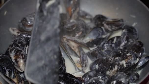 Kagylók Főzőkagyló Krémes Szószban — Stock videók