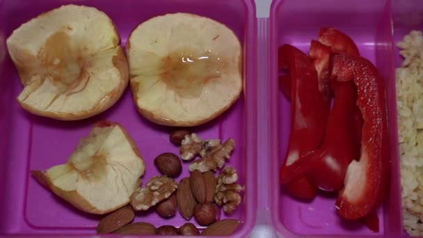Харчова Коробка Їжа Коробка Обіду — стокове відео