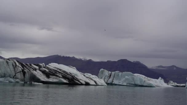 Zlanda Eriyen Bir Buzul Okyanusta Yüzer — Stok video