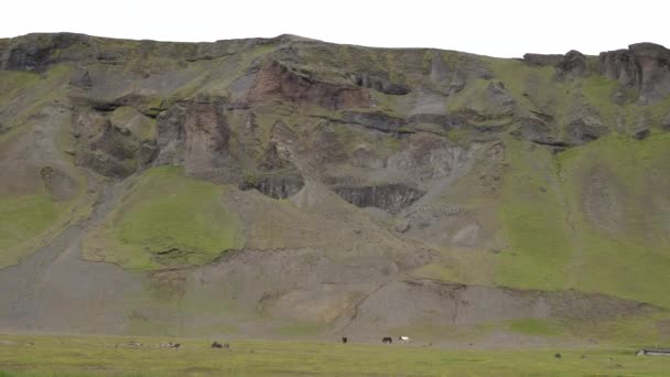 Paesaggio Pittoresco Islanda Piano Globale — Video Stock