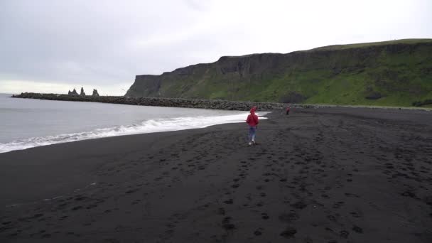 Девушка Идет Черному Пляжу Исландия — стоковое видео