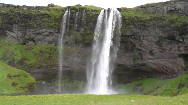 Big Waterfall Picturesque Landscape Iceland — Stock Video