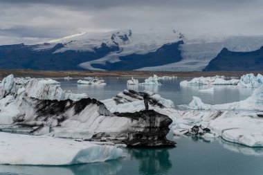 İzlanda. Eriyen bir buzul okyanusta yüzer..