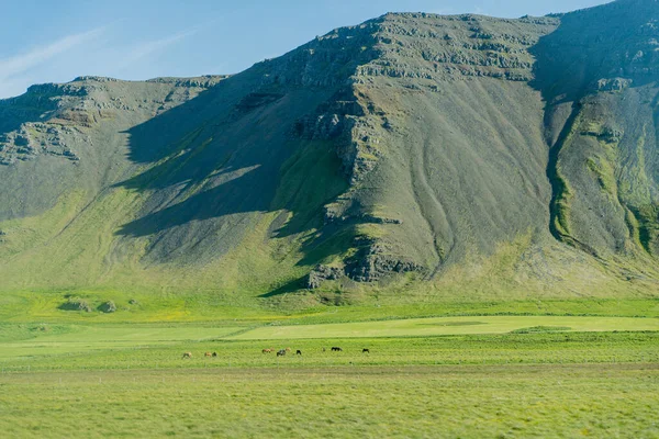 Malebná Krajina Islandu Celkový Plán — Stock fotografie