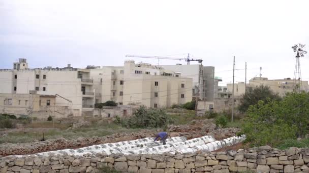 Het Een Poëzievillage Malta April 2023 Een Man Werkt Een — Stockvideo