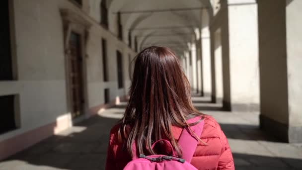 Torino Colonne Passeggiate Turistiche Città — Video Stock
