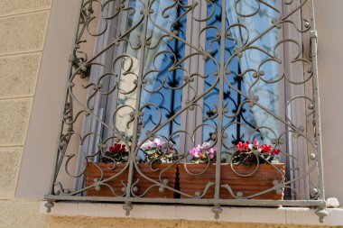 Metal parmaklıklı pencere. Pencere pervazında duran saksıda bir çiçek.
