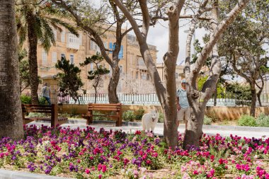 Malta. Halk parkı. Bir adam köpekle yürür..