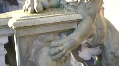 Antik aslan heykeli. Aslan heykeli. Yakın plan..