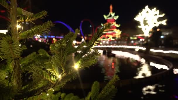 游乐园背景下的新年树枝 — 图库视频影像