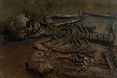 Arkeolojik kazılar. İnsan iskeletinin kalıntıları..