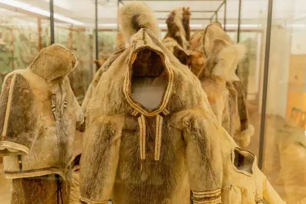 冬服について 動物の皮から作られた冬の服 ロイヤリティフリーのストック画像