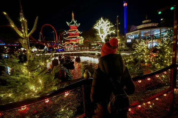 圣诞节游乐园 一个女人背靠背站着 凝视着闪闪发光的景点 图库图片