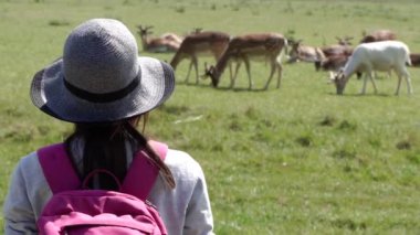 Geyiklerle park et. Bir kadın geyikli bir çayıra bakar..