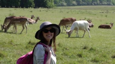 Geyiklerle park et. Bir kadın geyikli bir çayıra bakar..