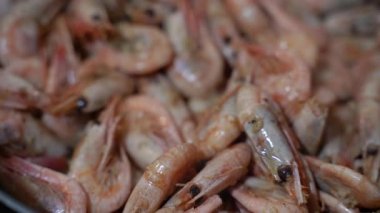 Kral karides. Bir sürü karides ve havyar..