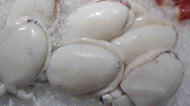 Deniz ürünleri. Taze mürekkep balığı buzda yatar. Yakın plan..