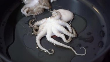 Deniz ürünleri. Ahtapot kızartma tavasında kızarır. Yakın plan..