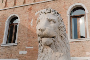 Beyaz aslan heykeli. Yakın plan..