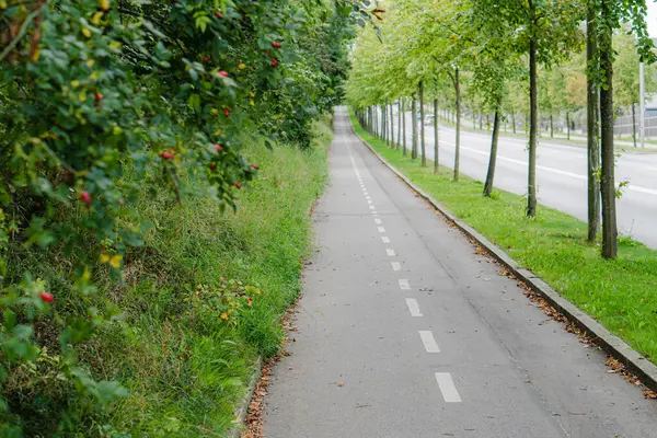 Yaz. Yol boyunca bisiklet yolu. Genel plan.