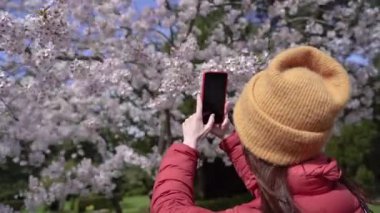 Güneşli bir günde çiçek açan ağaçların fotoğrafını çeken bir kadın..