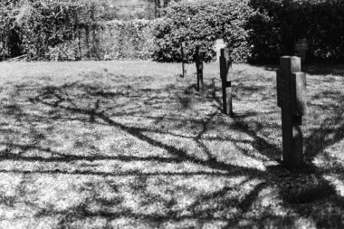 Haç şeklinde anıtlar. Düşen çiçeklerin arka planına karşı mezarlık. 