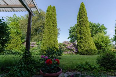 Daireden çiçek açan bahçenin manzarası. Yeşil avlu. 