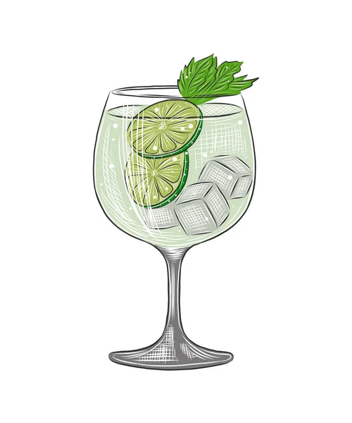 Vektor Graverad Stil Gin Tonic Alkoholhaltig Cocktail Illustration För Affischer — Stock vektor