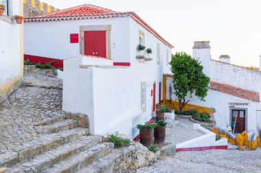 Obidos, Portekiz 'deki geleneksel beyaz evlerin parlak aksanlı görüntüleri.