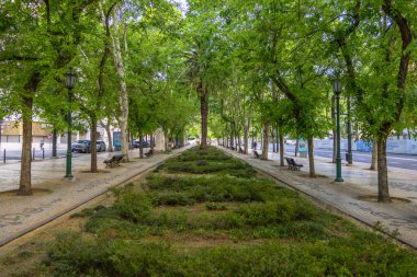 Güneşli bir günde, Avenida da Liberdade Bahçeleri 'ndeki ağaçlı patikanın huzurlu manzarası.